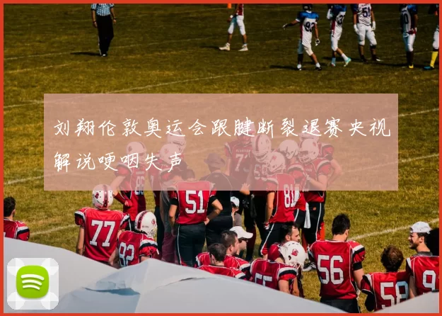 刘翔伦敦奥运会跟腱断裂退赛央视解说哽咽失声