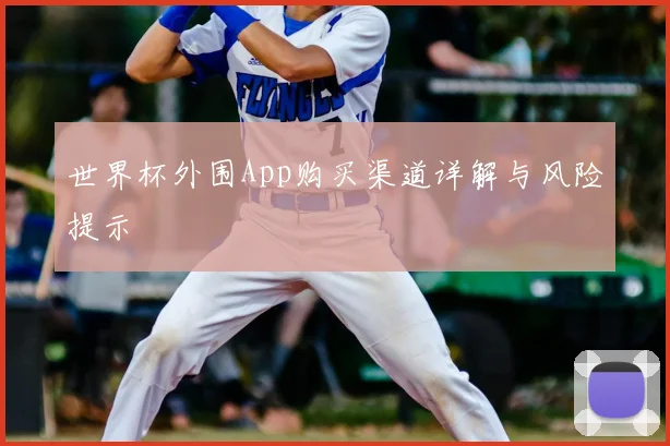 世界杯外围App购买渠道详解与风险提示