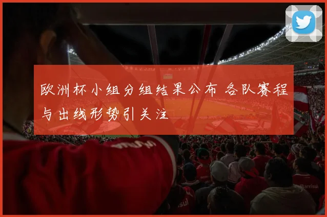 欧洲杯小组分组结果公布 各队赛程与出线形势引关注