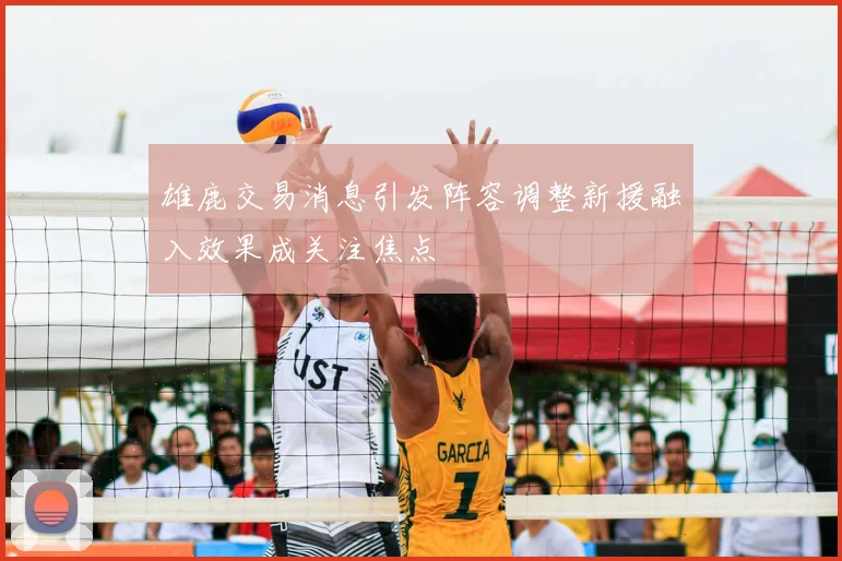 雄鹿交易消息引发阵容调整新援融入效果成关注焦点